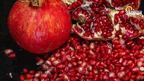 Mahadhan Solutech improves pomegranate yield