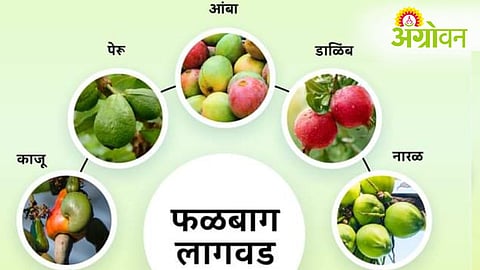 Bhausaheb Fundkar Scheme