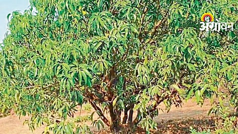 Cloudy Weather Impact