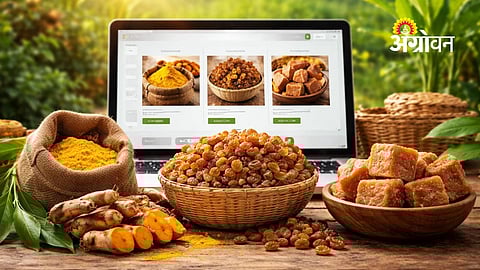 Sangli Turmeric, Raisins and Jaggery Go Online for Nationwide Buyers