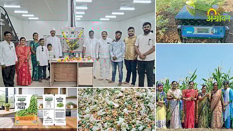 Farmer producer company success story in Maharashtra