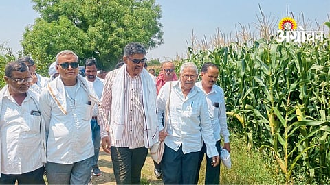 Zero Tillage Technique