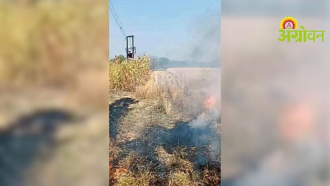 Wheat Crop Fire