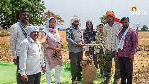 Wheat crop cutting experiment in Maharashtra Barshitakli