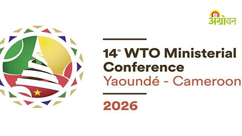 India stance on global agricultural trade policy