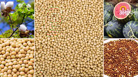 Farm produce market trends India today