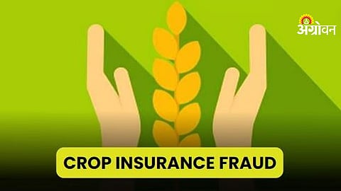 Jalgaon crop insurance scam 750 crore fraud