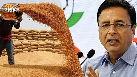 Haryana Wheat Procurement