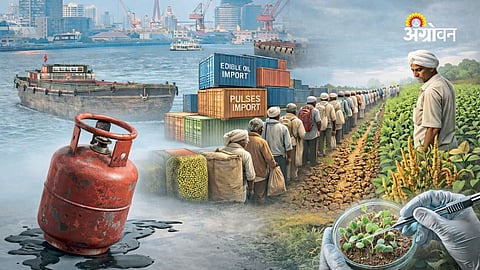 India’s Growing Dependence on Edible Oil Imports Raises Concerns