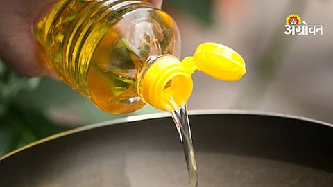 Edible oil price increase in India today