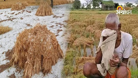 From Heavy Rains to Storms, Farmers Face Continuous Losses