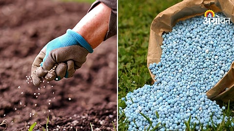 Government action against fertilizer hoarders India