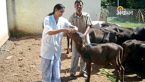 Veterinary Sector Offers Strong Entrepreneurship Opportunities