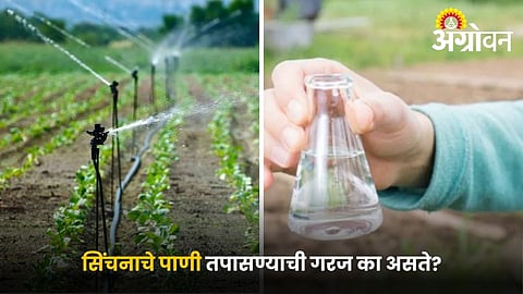 Role of water testing in sustainable farming