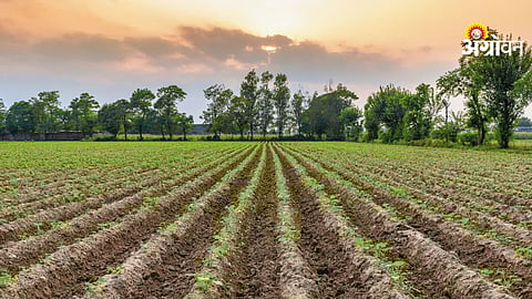 Impact of farmland conversion on food security India