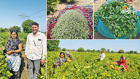 Farmer success story with flower cultivation