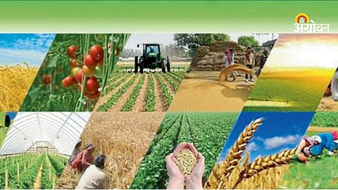 Farmer producer companies scam in Nandurbar Maharashtra