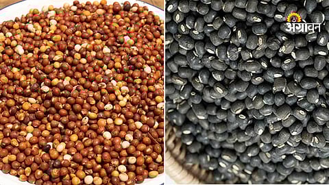 Tur and urad import policy extension India 2026