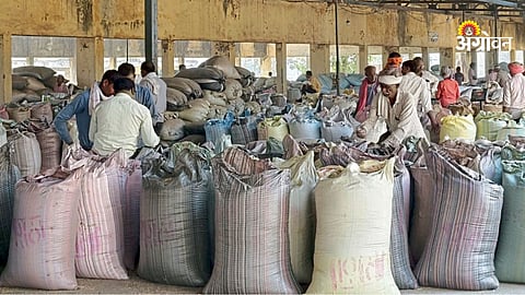 Farmers missing MSP in Bhandara Maharashtra