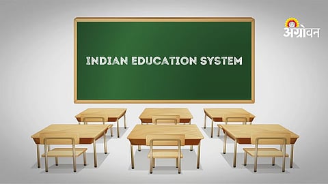 Importance of schools in society development