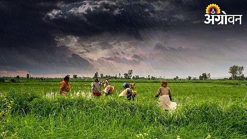 Marathwada Unseasonal Rain 