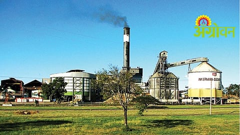 Sugar Production