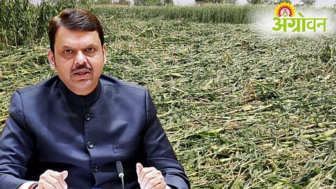 Crop Damage Compensation