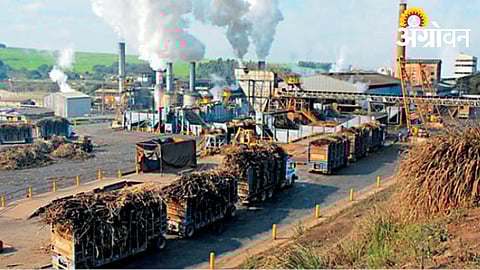 Marathwada sugar industry performance analysis