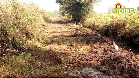 Baliraja Shet Panand Road scheme implementation issues