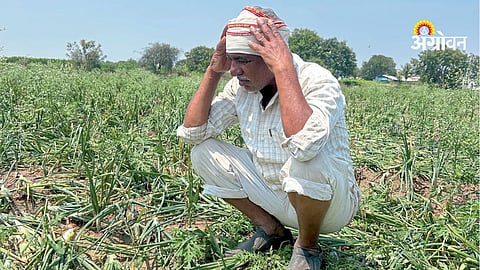 Unseasonal rain crop damage Maharashtra