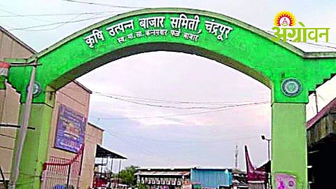 APMC Chairman Resigns