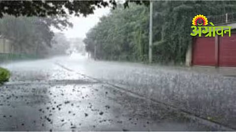 Sindhudurg Rain Update