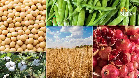 Agriculture commodity market trends India