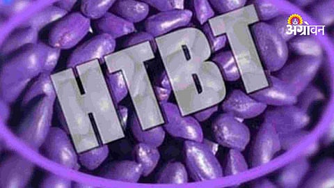 HTBT cotton seed smuggling in Maharashtra