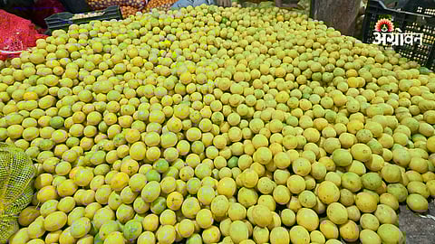 Lemon Price Drop in Summer
