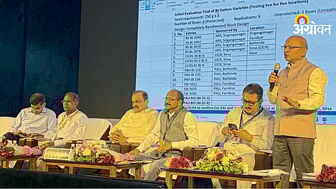 HDPS improves cotton yield and productivity