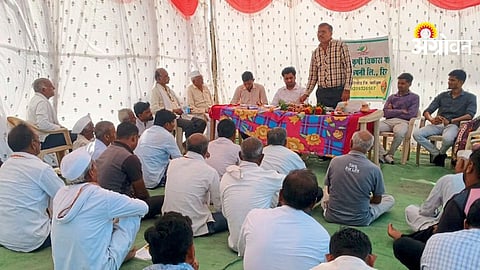Turmeric Harvest Management