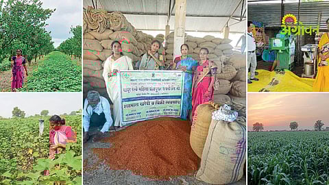 Women farmer success story in Maharashtra organic farming