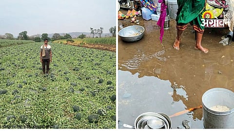 Satara Rain Damage