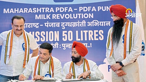 Mission 50 litre dairy farming initiative in Maharashtra