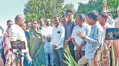 Baramati hailstorm crop damage