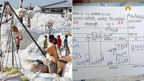 Cotton price surge in Akot Market