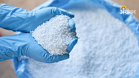 Urea stock availability in Chandrapur Maharashtra