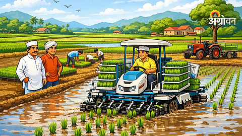 Impact of technology on rice farming productivity