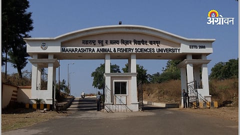 MAFSU fisheries technology complex project