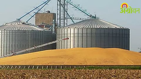 Grain Storage