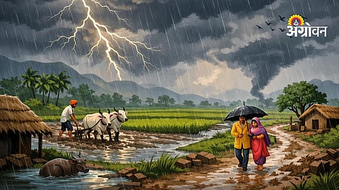 Maharashtra next 5 days IMD alert