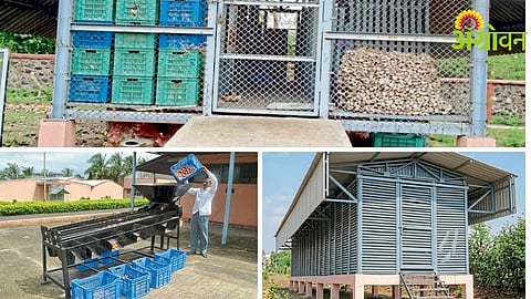 Scientific Onion Storage