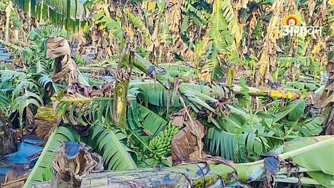 Agriculture insurance claim process after natural disaster India