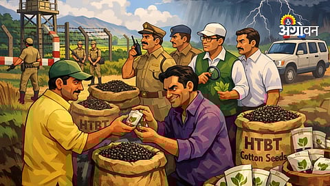 Government action against illegal cotton seeds